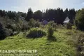 Дом  Озерицко-Слободской сельский Совет, Беларусь