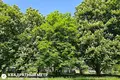 Квартира 1 комната 30 м² Минск, Беларусь