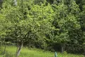 Дом  Острошицкий сельский Совет, Беларусь