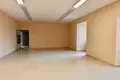 Commercial property 740 m² in Asipovichy, Belarus