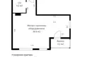 2 room apartment 43 m² Minsk, Belarus