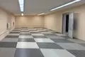 Commercial property 740 m² in Asipovichy, Belarus