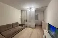 1 room apartment 45 m² Minsk, Belarus