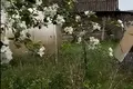 Дом  Дукорский сельский Совет, Беларусь