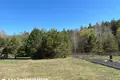 Дом  Налибокский сельский Совет, Беларусь