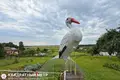 Дом  Фанипольский сельский Совет, Беларусь