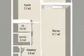 1 room apartment 33 m² Minsk, Belarus
