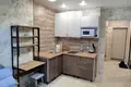 1 room apartment 25 m² Fanipal, Belarus