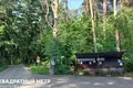 Дом  Пережирский сельский Совет, Беларусь