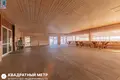 Commercial property 1 118 m² in Ozyaritska-Slabadski rural council, Belarus
