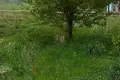 Дом  Дукорский сельский Совет, Беларусь