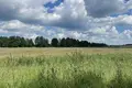 House  Uzdzienski sielski Saviet, Belarus