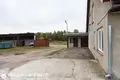 Manufacture 941 m² in Niasvizski sielski Saviet, Belarus