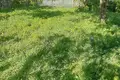 Дом  Острошицкий Городок, Беларусь