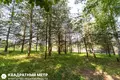 Дом  Юзуфовский сельский Совет, Беларусь