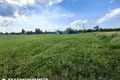 Дом  Руденский сельский Совет, Беларусь