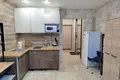 1 room apartment 25 m² Fanipal, Belarus