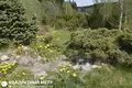 Дом  Беларучский сельский Совет, Беларусь
