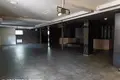 Коммерческое помещение 575 м² в Минске, Беларусь