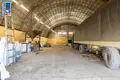 Warehouse 487 m² in Ozyaritska-Slabadski rural council, Belarus