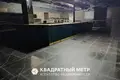 Коммерческое помещение 575 м² в Минске, Беларусь