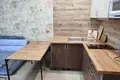 1 room apartment 25 m² Fanipal, Belarus