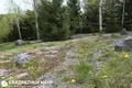 Земельные участки  Беларучский сельский Совет, Беларусь