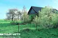 Дом  Турин, Беларусь