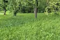 Дом  Колядичи, Беларусь
