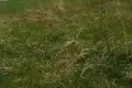 Дом  Дукорский сельский Совет, Беларусь