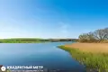 Дом  Аронова Слобода, Беларусь