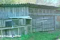 Дом  Турин, Беларусь