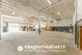 Commercial property 753 m² in Dziescanski sielski Saviet, Belarus