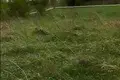 Дом  Дукорский сельский Совет, Беларусь