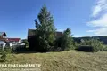 House  Ivyanets, Belarus