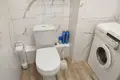 1 room apartment 25 m² Fanipal, Belarus