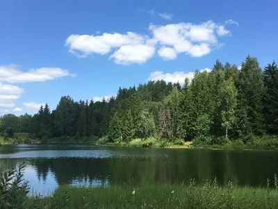 Земельные участки 
